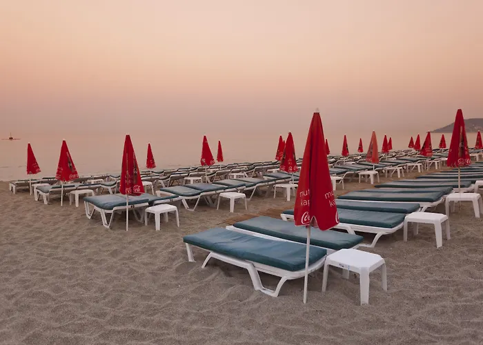 Szálloda Royalisa Palmiye Adult Only Alanya