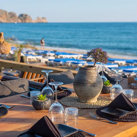 Royalisa Palmiye Adult Only Alanya