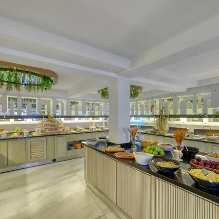 Royalisa Palmiye Adult Only Αλάνια